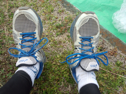 2013-03-24.jpg
