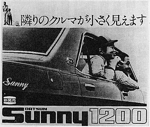 sunny.jpg